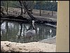 Colonia y Unidad en la Cañada de los Pájaros - Puebla del Río (Sevilla) 19 y 20 - marzo - 2005