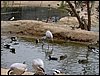 Colonia y Unidad en la Cañada de los Pájaros - Puebla del Río (Sevilla) 19 y 20 - marzo - 2005