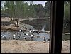 Colonia y Unidad en la Cañada de los Pájaros - Puebla del Río (Sevilla) 19 y 20 - marzo - 2005