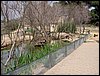 Colonia y Unidad en la Cañada de los Pájaros - Puebla del Río (Sevilla) 19 y 20 - marzo - 2005