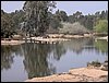 Colonia y Unidad en la Cañada de los Pájaros - Puebla del Río (Sevilla) 19 y 20 - marzo - 2005