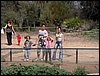 Colonia y Unidad en la Cañada de los Pájaros - Puebla del Río (Sevilla) 19 y 20 - marzo - 2005