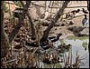 Colonia y Unidad en la Cañada de los Pájaros - Puebla del Río (Sevilla) 19 y 20 - marzo - 2005