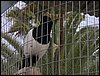 Colonia y Unidad en la Cañada de los Pájaros - Puebla del Río (Sevilla) 19 y 20 - marzo - 2005
