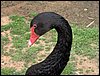 Colonia y Unidad en la Cañada de los Pájaros - Puebla del Río (Sevilla) 19 y 20 - marzo - 2005