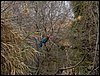 Colonia y Unidad en la Cañada de los Pájaros - Puebla del Río (Sevilla) 19 y 20 - marzo - 2005