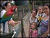 Colonia y Unidad en la Cañada de los Pájaros - Puebla del Río (Sevilla) 19 y 20 - marzo - 2005