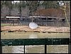 Colonia y Unidad en la Cañada de los Pájaros - Puebla del Río (Sevilla) 19 y 20 - marzo - 2005