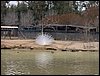 Colonia y Unidad en la Cañada de los Pájaros - Puebla del Río (Sevilla) 19 y 20 - marzo - 2005