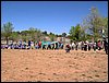 Acampada de San Jorge en el Padul - 23 y 24 de abril de 2005