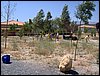Acampada XXII aniversario en Cogollos de Guadix - 2 y 3 de julio de 2005
