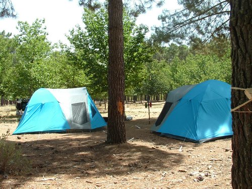 Campamento de verano 2005 en el Robledal - Del 1 al 14 de agosto de 2005 - Foto 14