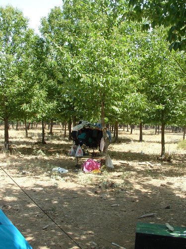 Campamento de verano 2005 en el Robledal - Del 1 al 14 de agosto de 2005 - Foto 16