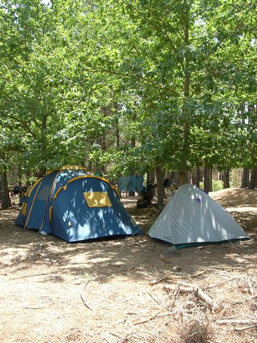 Campamento de verano 2005 en el Robledal - Del 1 al 14 de agosto de 2005 - Foto 18