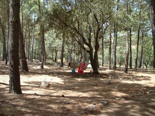 Campamento de verano 2005 en el Robledal - Del 1 al 14 de agosto de 2005 - Foto 100