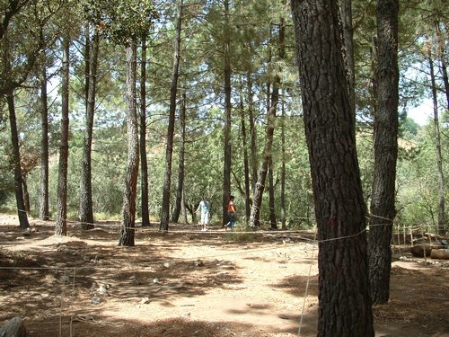 Campamento de verano 2005 en el Robledal - Del 1 al 14 de agosto de 2005 - Foto 102