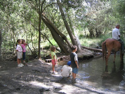 Campamento de verano 2005 en el Robledal - Del 1 al 14 de agosto de 2005 - Foto 366