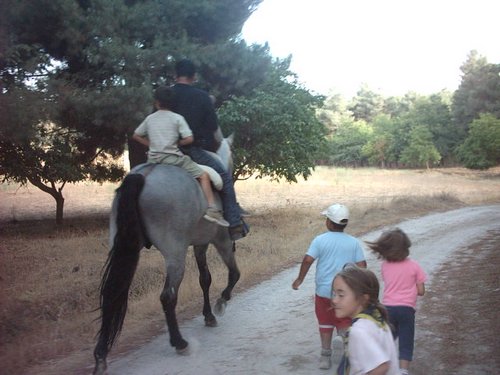 Campamento de verano 2005 en el Robledal - Del 1 al 14 de agosto de 2005 - Foto 379