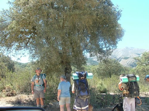 Campamento de verano 2005 en el Robledal - Del 1 al 14 de agosto de 2005 - Foto 397