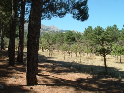 Campamento de verano 2005 en el Robledal - Del 1 al 14 de agosto de 2005 - Foto 456