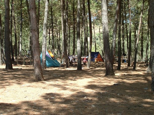 Campamento de verano 2005 en el Robledal - Del 1 al 14 de agosto de 2005 - Foto 478