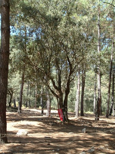 Campamento de verano 2005 en el Robledal - Del 1 al 14 de agosto de 2005 - Foto 480