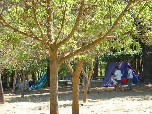 Campamento de verano 2005 en el Robledal - Del 1 al 14 de agosto de 2005 - Foto 494