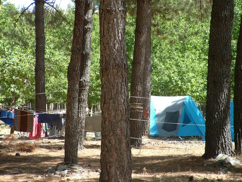 Campamento de verano 2005 en el Robledal - Del 1 al 14 de agosto de 2005 - Foto 495