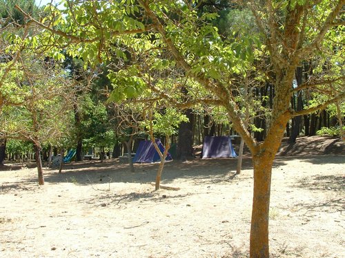 Campamento de verano 2005 en el Robledal - Del 1 al 14 de agosto de 2005 - Foto 497