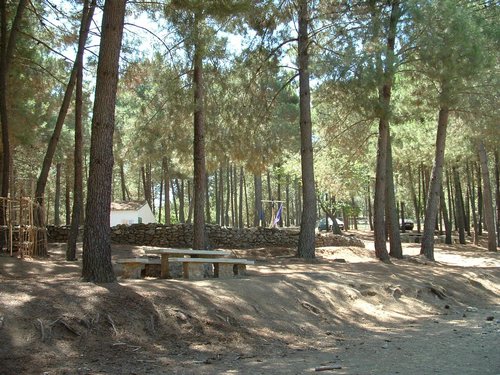 Campamento de verano 2005 en el Robledal - Del 1 al 14 de agosto de 2005 - Foto 499