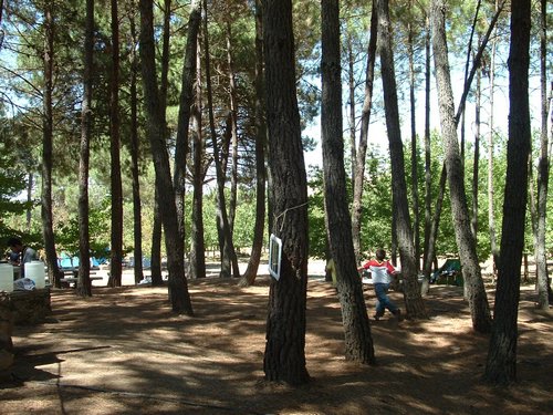 Campamento de verano 2005 en el Robledal - Del 1 al 14 de agosto de 2005 - Foto 516