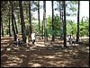 Campamento de verano 2005 en el Robledal - Del 1 al 14 de agosto de 2005