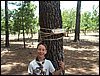 Campamento de verano 2005 en el Robledal - Del 1 al 14 de agosto de 2005