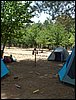 Campamento de verano 2005 en el Robledal - Del 1 al 14 de agosto de 2005