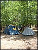 Campamento de verano 2005 en el Robledal - Del 1 al 14 de agosto de 2005
