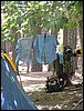 Campamento de verano 2005 en el Robledal - Del 1 al 14 de agosto de 2005