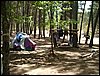 Campamento de verano 2005 en el Robledal - Del 1 al 14 de agosto de 2005