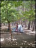 Campamento de verano 2005 en el Robledal - Del 1 al 14 de agosto de 2005
