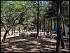Campamento de verano 2005 en el Robledal - Del 1 al 14 de agosto de 2005