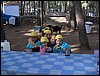 Campamento de verano 2005 en el Robledal - Del 1 al 14 de agosto de 2005