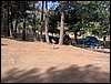 Campamento de verano 2005 en el Robledal - Del 1 al 14 de agosto de 2005