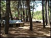 Campamento de verano 2005 en el Robledal - Del 1 al 14 de agosto de 2005