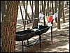 Campamento de verano 2005 en el Robledal - Del 1 al 14 de agosto de 2005