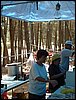 Campamento de verano 2005 en el Robledal - Del 1 al 14 de agosto de 2005