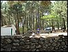 Campamento de verano 2005 en el Robledal - Del 1 al 14 de agosto de 2005