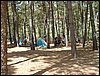 Campamento de verano 2005 en el Robledal - Del 1 al 14 de agosto de 2005