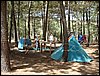 Campamento de verano 2005 en el Robledal - Del 1 al 14 de agosto de 2005