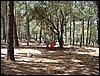 Campamento de verano 2005 en el Robledal - Del 1 al 14 de agosto de 2005