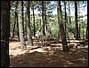 Campamento de verano 2005 en el Robledal - Del 1 al 14 de agosto de 2005