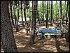 Campamento de verano 2005 en el Robledal - Del 1 al 14 de agosto de 2005